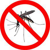 prevent zika virus