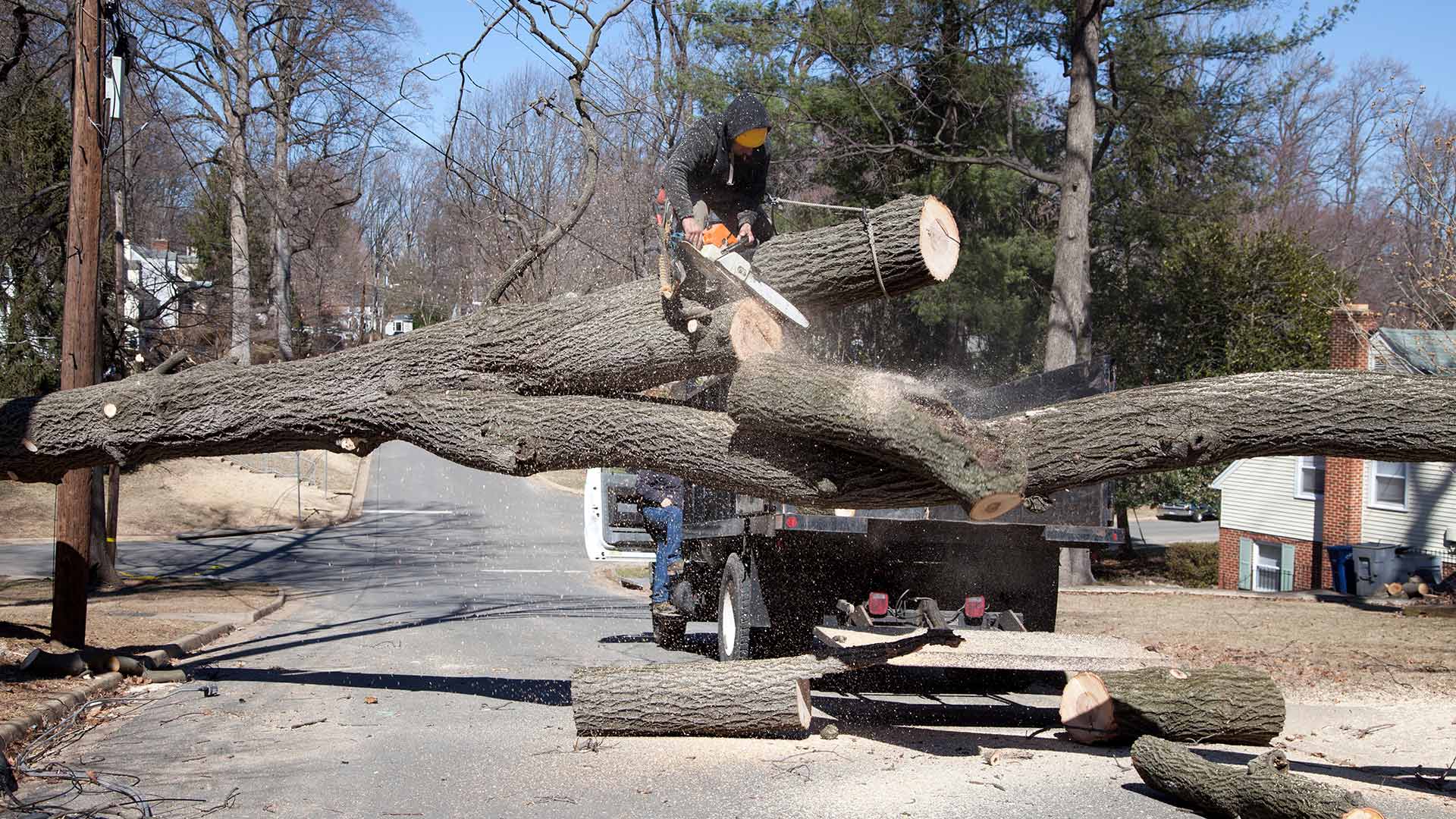 24 Hour Emergency Shorewood Tree Service