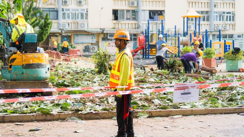 Recover from Tree Storm Damage