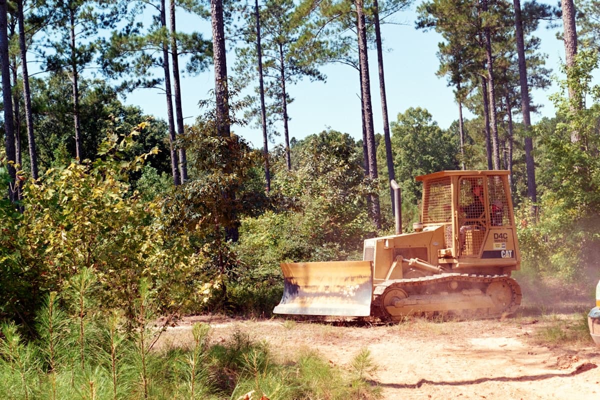 Land Clearing Cost Guide for Minnesota