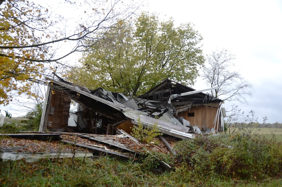 Tree Damage Insurance Claims Guide