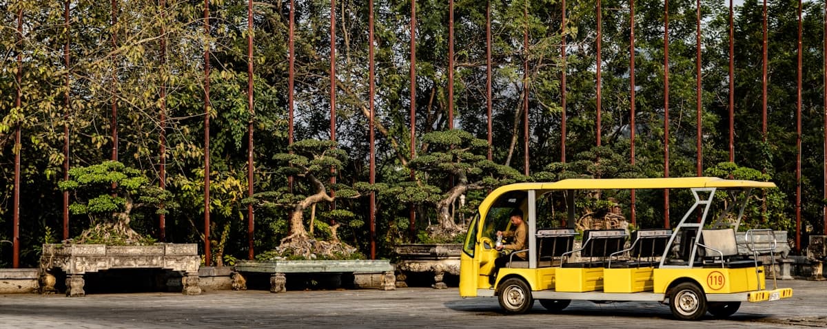 Choosing a Tree Service in the Twin Cities