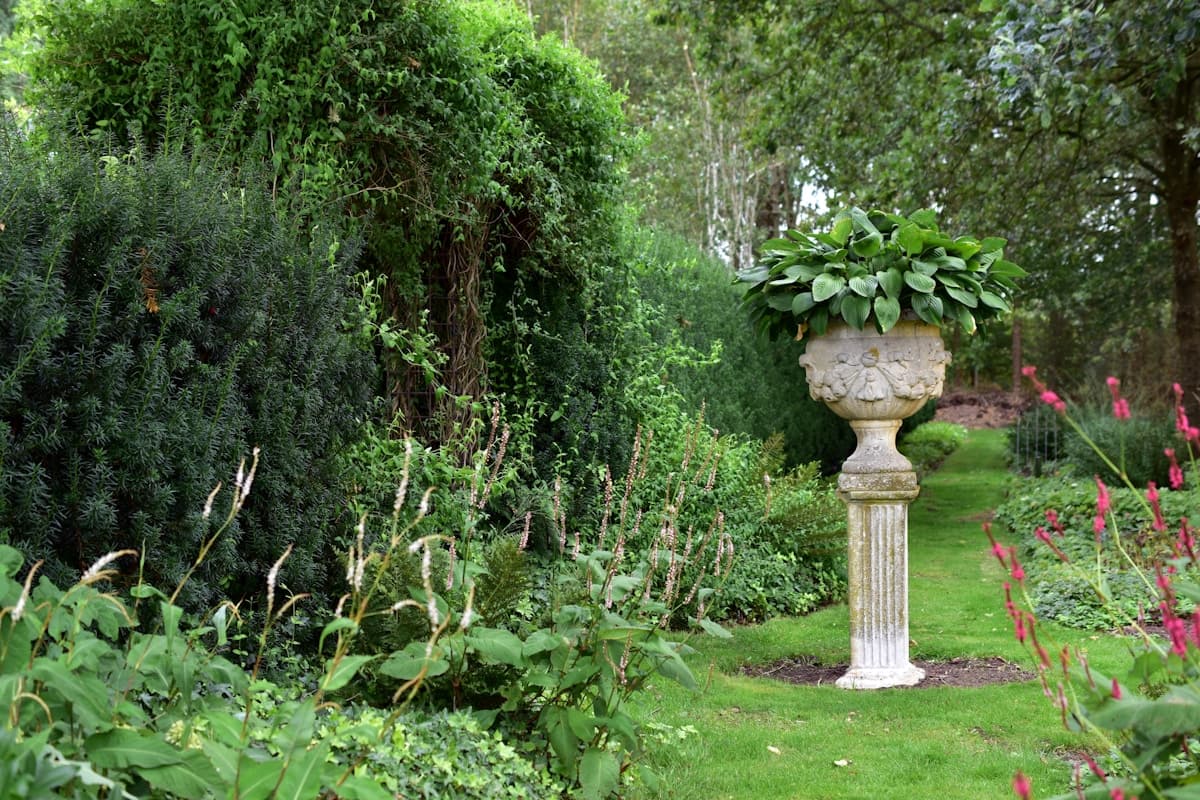 When and How to Trim Shrubs in Minnesota