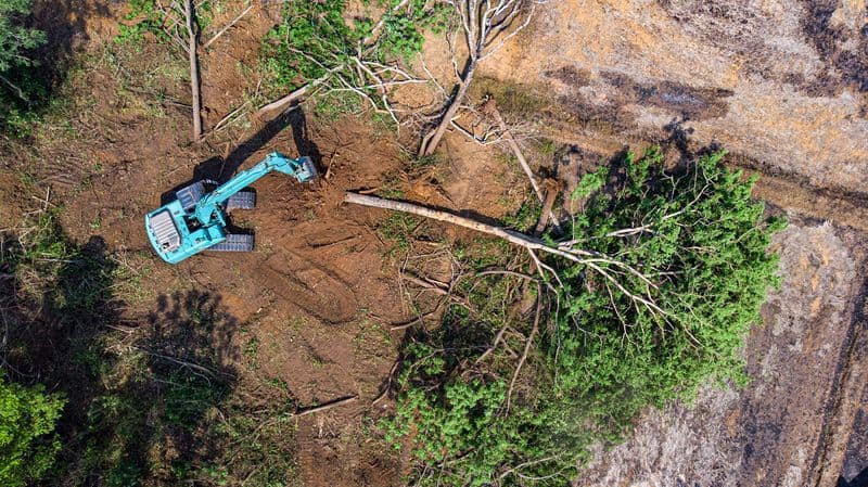 Lot & Land Clearing