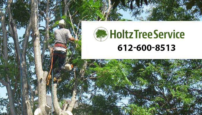 Holtz Tree Service of Minnesota
